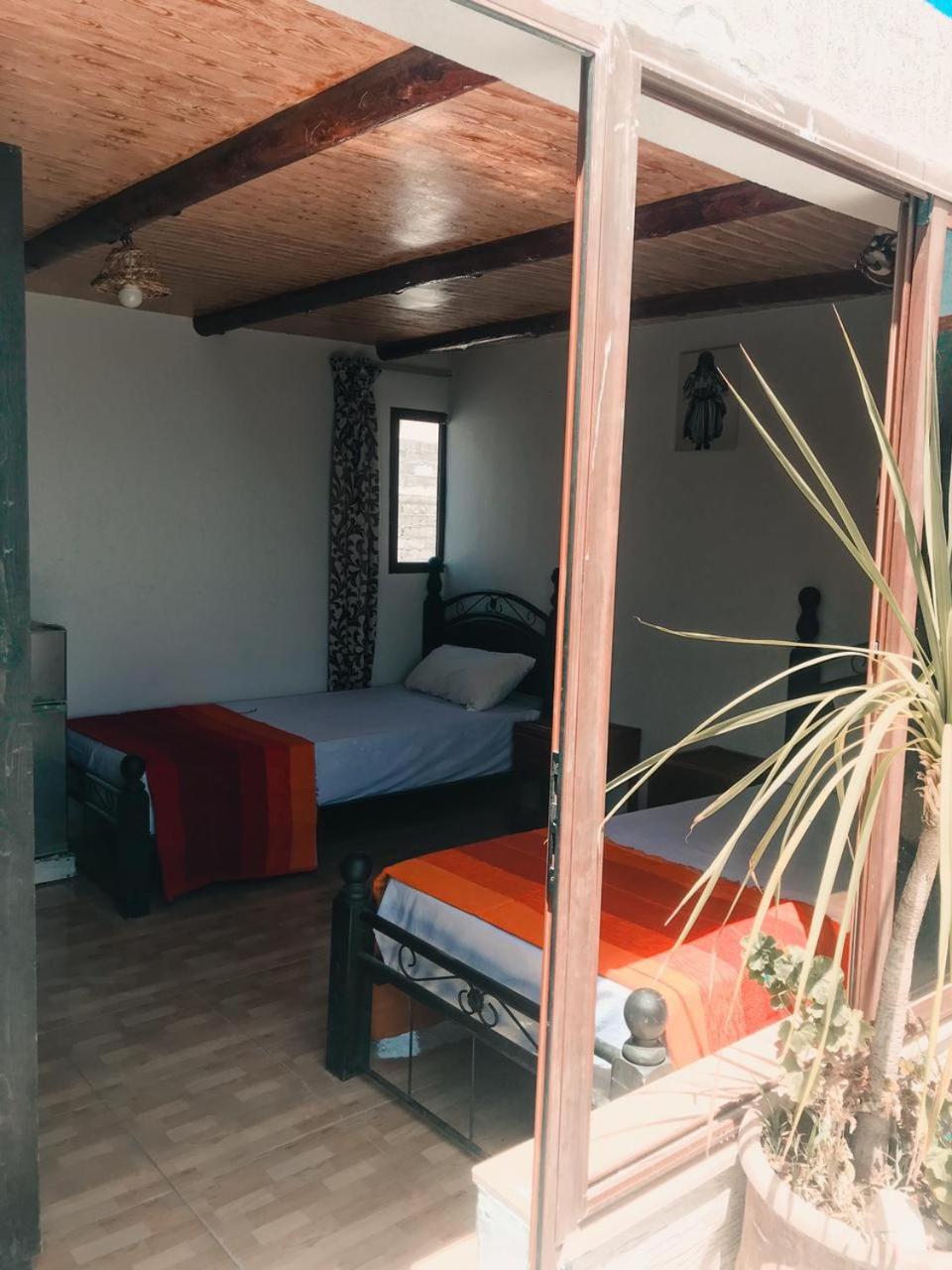 Tafoukt Surf Hostel تغازوت المظهر الخارجي الصورة
